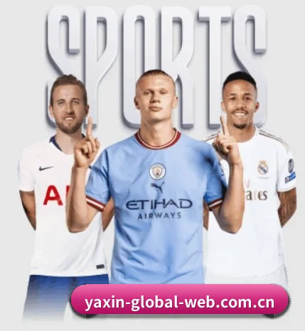 五大智库级服务分区，让资讯获取如同呼吸般自然