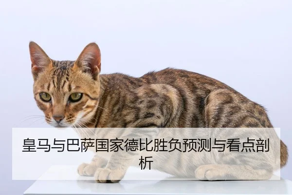 皇马与巴萨国家德比胜负预测与看点剖析